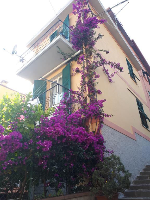 Apartamento Da Rita San Terenzo Exterior foto